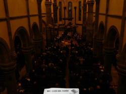 animation/concerts 2015